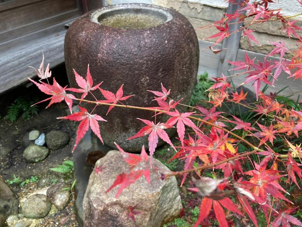 Veada Kyoto Bagian luar foto